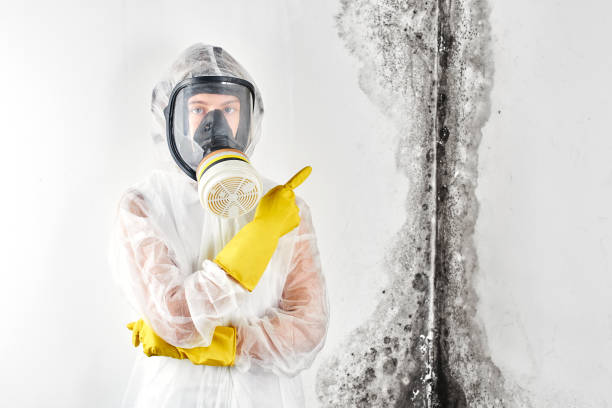 Best Commercial Mold Inspection  in Richmond Hill, GA