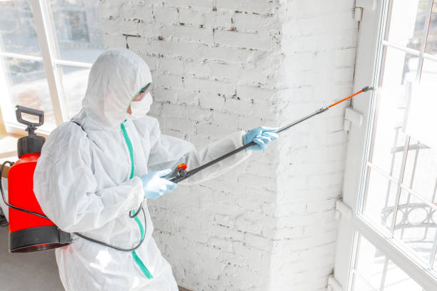 Best Comprehensive Air Testing for Mold Contaminants  in Richmond Hill, GA